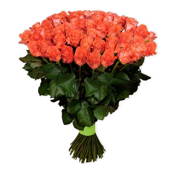 101 яскраво-помаранчева троянда Вау