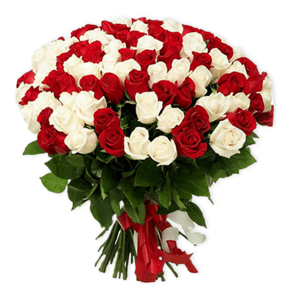 images/products/101-red-and-white-roses.jpg