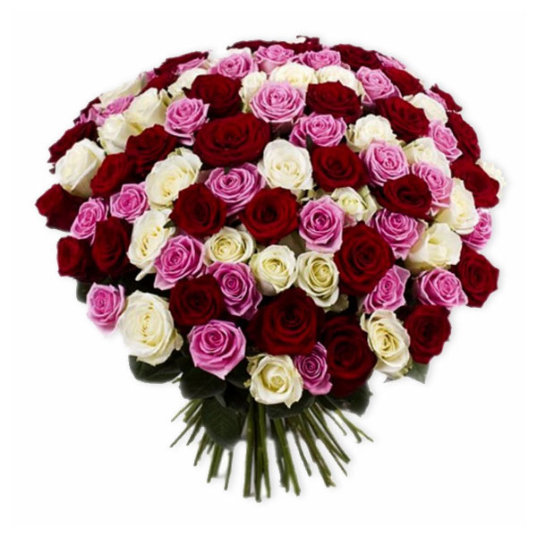 images/products/101-red-pink-and-white-rose.jpg
