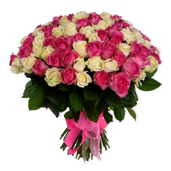 images/products/101-white-pink-roses.jpg