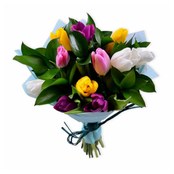 images/products/11-multi-colored-tulips-with-greenery.jpg