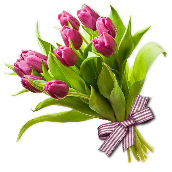 images/products/11-pink-tulips-with-ribbon.jpg