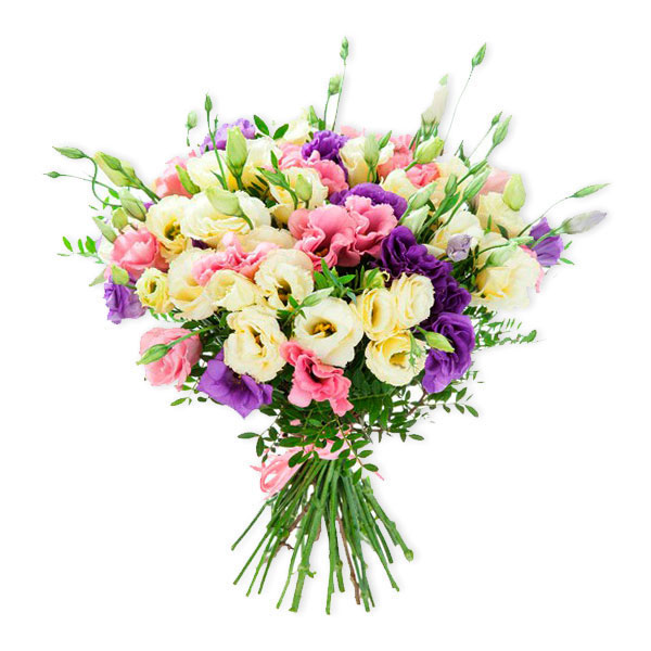 images/products/15-branches-of-eustoma-mix-color.jpg