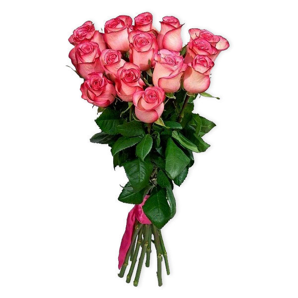 images/products/15-roses-jumilia.jpg