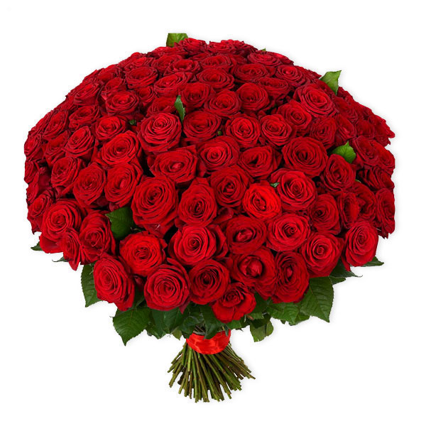 images/products/151-red-rose.jpg