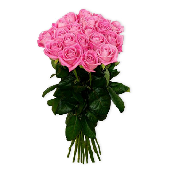images/products/19-pink-roses-aqua.jpg