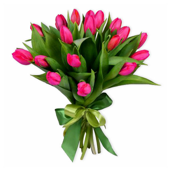 images/products/19-pink-tulips-with-ribbon.jpg