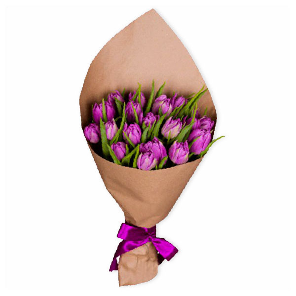 images/products/19-purple-terry-tulip.jpg