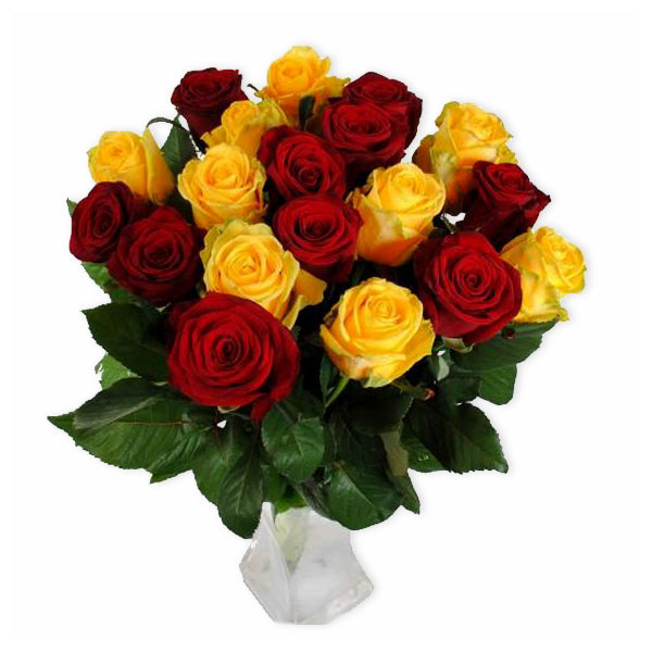 images/products/19-yellow-red-roses.jpg