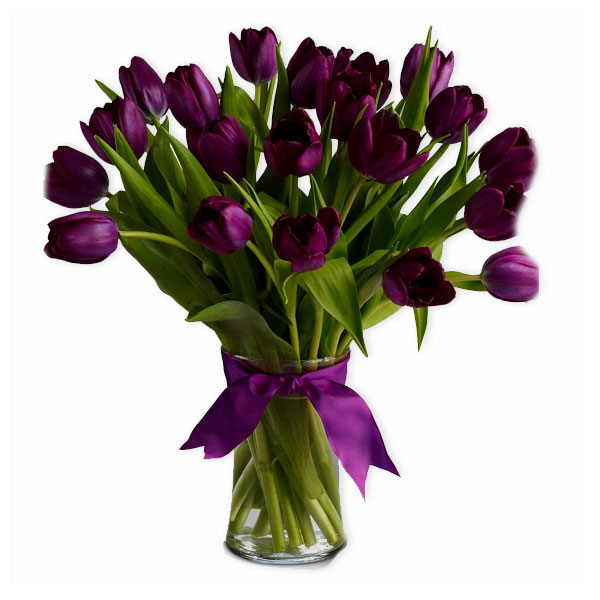 images/products/21-purple-tulip-with-ribbon.jpg