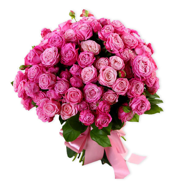 images/products/25-pink-spray-roses-of-the-lady-bombastic-variety.jpg