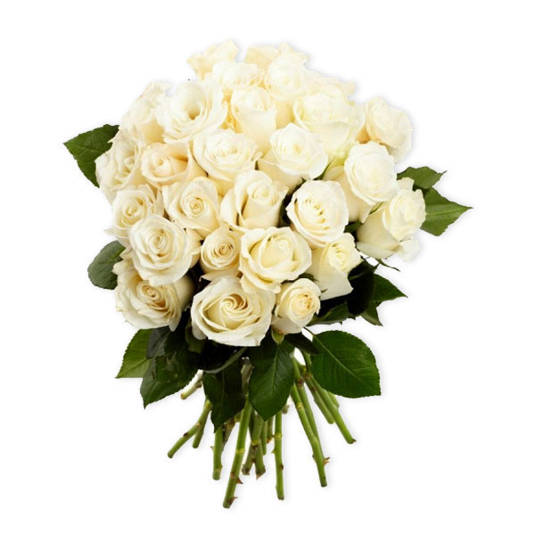 images/products/25-white-roses-avalanche.jpg