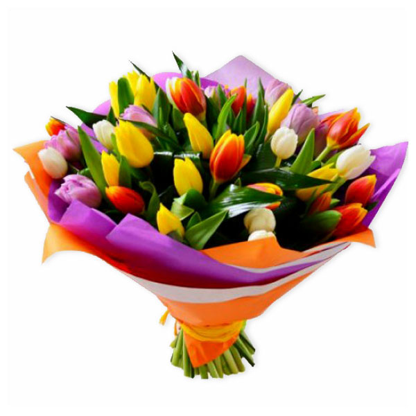 images/products/35-multicolored-tulips-per-pack.jpg