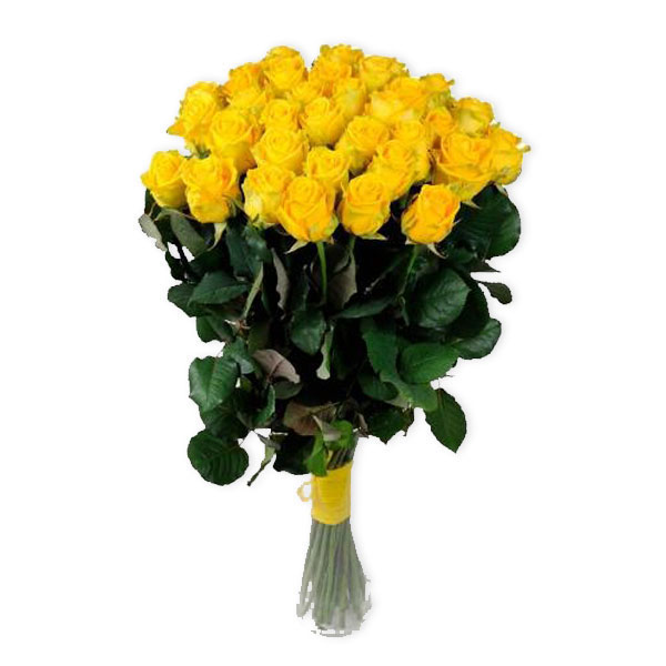 images/products/35-penny-lane-yellow-roses.jpg