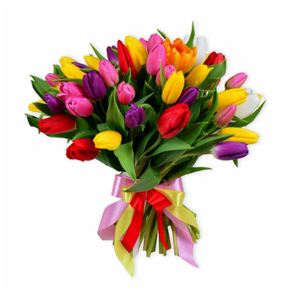 images/products/51-multi-colored-tulip.jpg