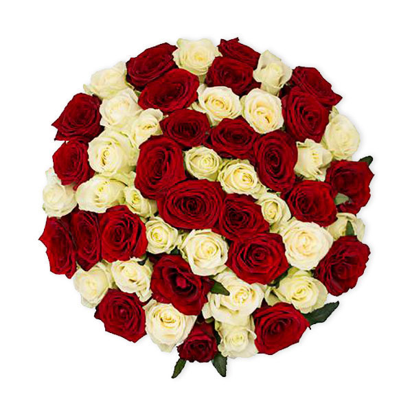 images/products/51-red-and-white-roses.jpg