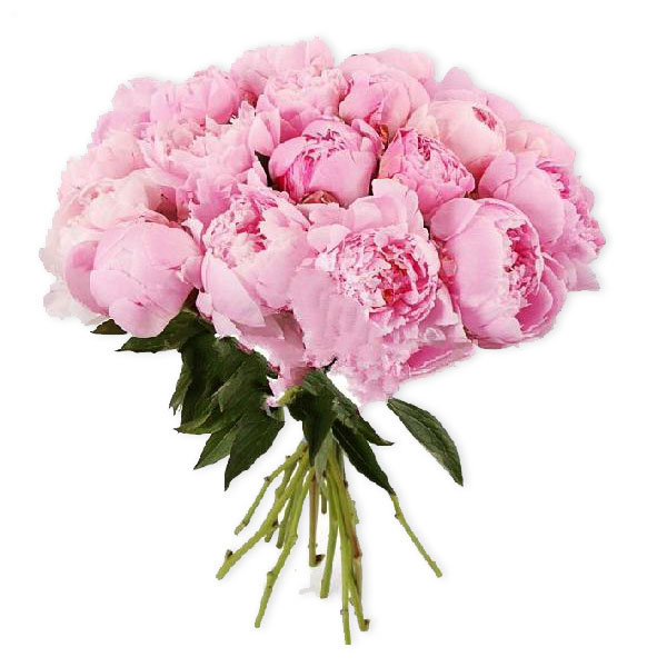 images/products/bouquet-21-pink-peony.jpg