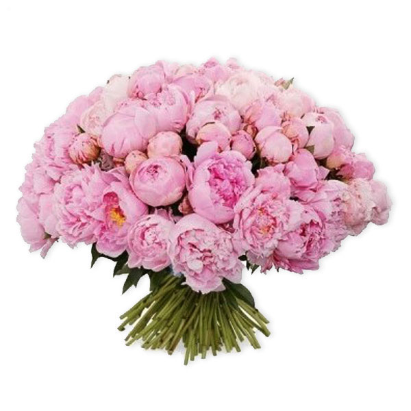 images/products/bouquet-of-101-pink-peonies.jpg