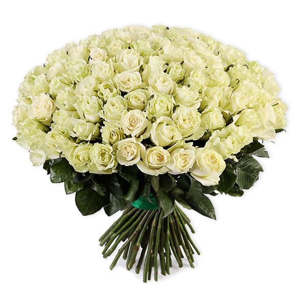 images/products/bouquet-of-101-white-dutch-roses-mondial.jpg