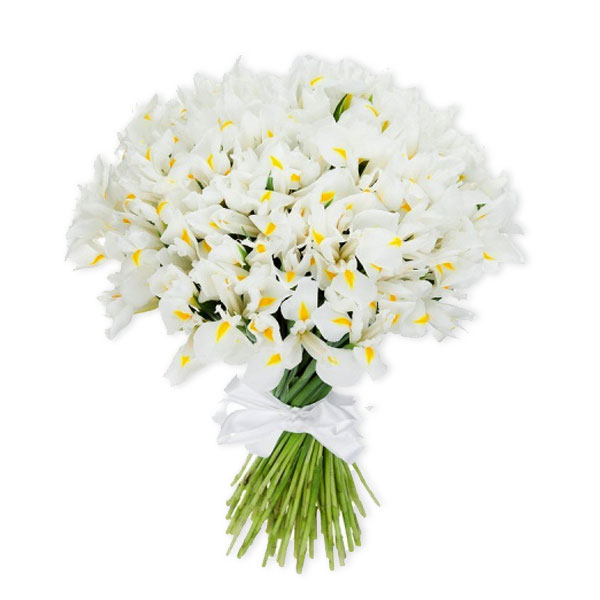 images/products/bouquet-of-101-white-iris.jpg