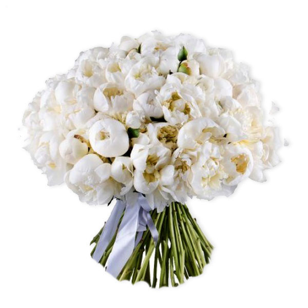 images/products/bouquet-of-101-white-peonies.jpg
