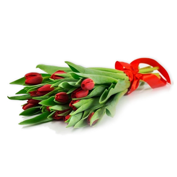 images/products/bouquet-of-15-red-tulips-with-ribbon.jpg