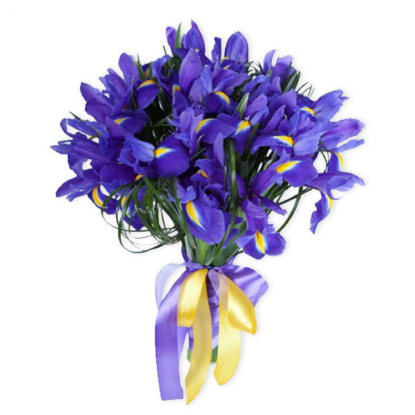 images/products/bouquet-of-15-sky-blue-irises.jpg
