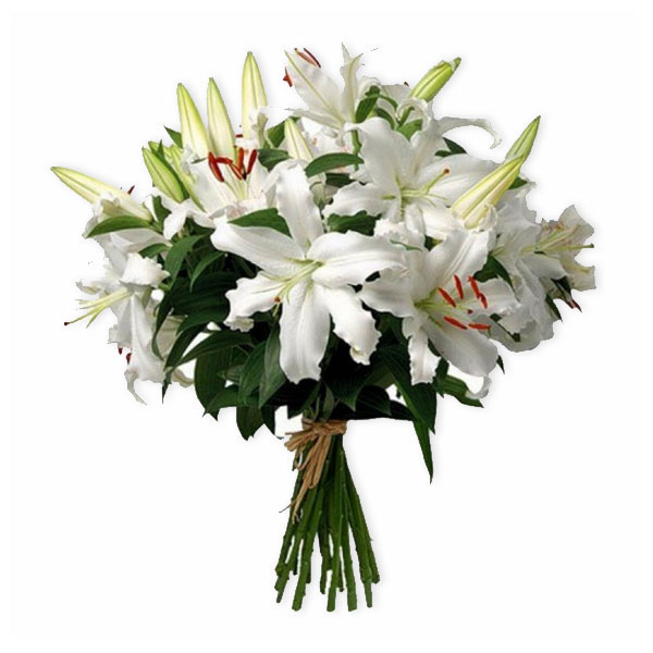 images/products/bouquet-of-15-white-lilies.jpg