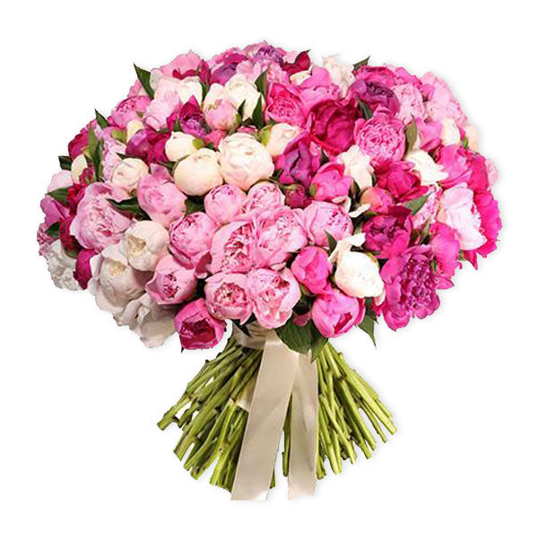 images/products/bouquet-of-151-peonies.jpg