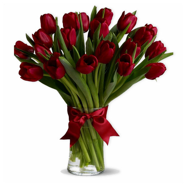 images/products/bouquet-of-21-red-tulips-with-ribbon.jpg