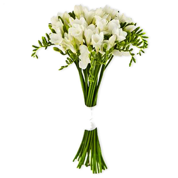 images/products/bouquet-of-21-white-freesias.jpg