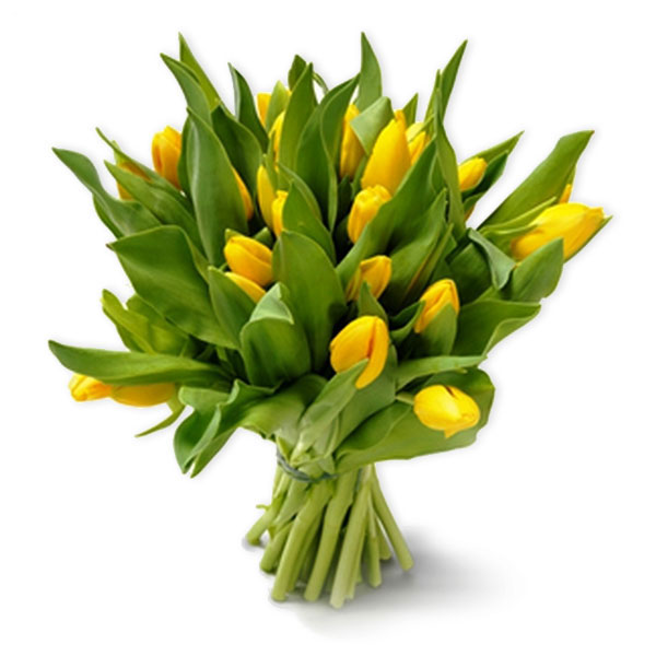 images/products/bouquet-of-21-yellow-tulips-with-ribbon.jpg