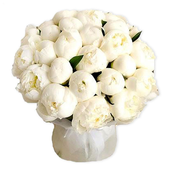 images/products/bouquet-of-25-white-peonies-in-a-delicate-package.jpg