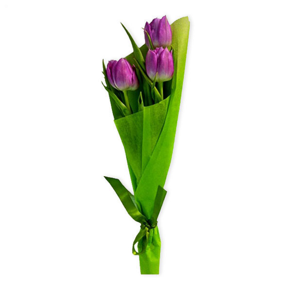 images/products/bouquet-of-3-purple-tulips.jpg
