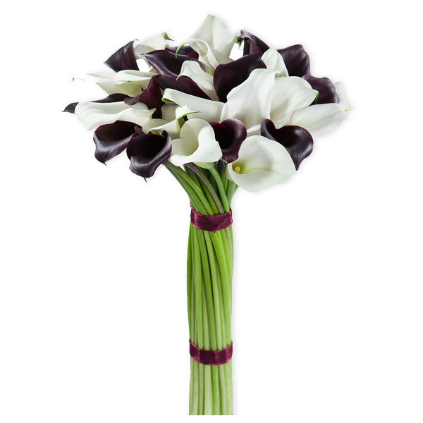 images/products/bouquet-of-31-dutch-calla-lilies.jpg