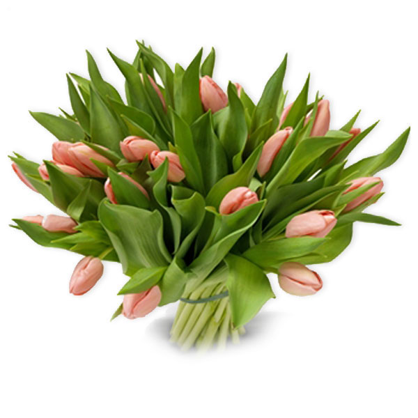 images/products/bouquet-of-31-peach-tulips.jpg