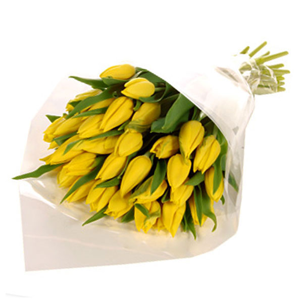 images/products/bouquet-of-31-yellow-solar-tulips-with-ribbon.jpg