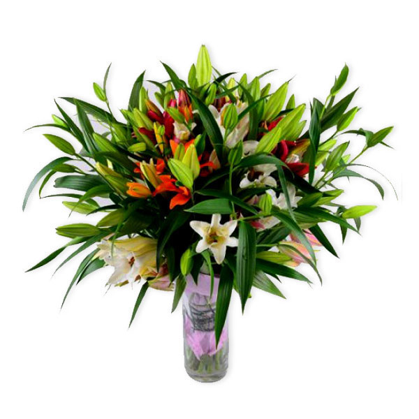 images/products/bouquet-of-35-bright-lilies.jpg