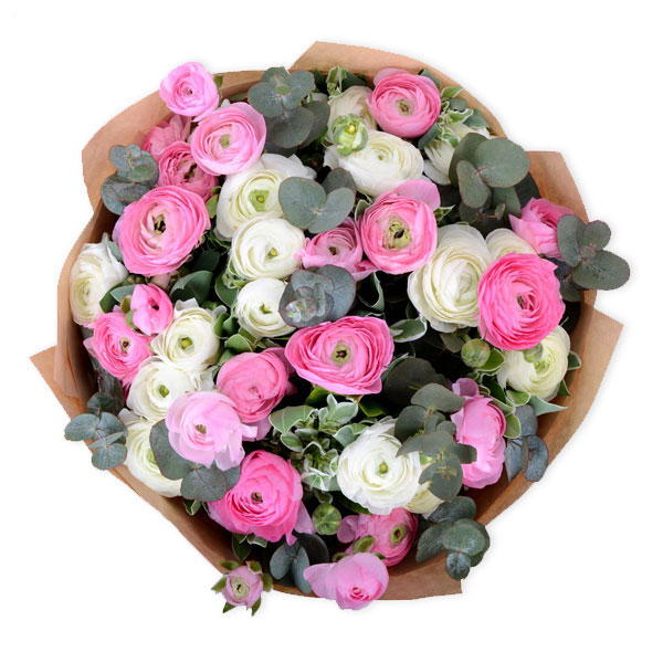 images/products/bouquet-of-35-pink-ranunculi-with-greenery.jpg