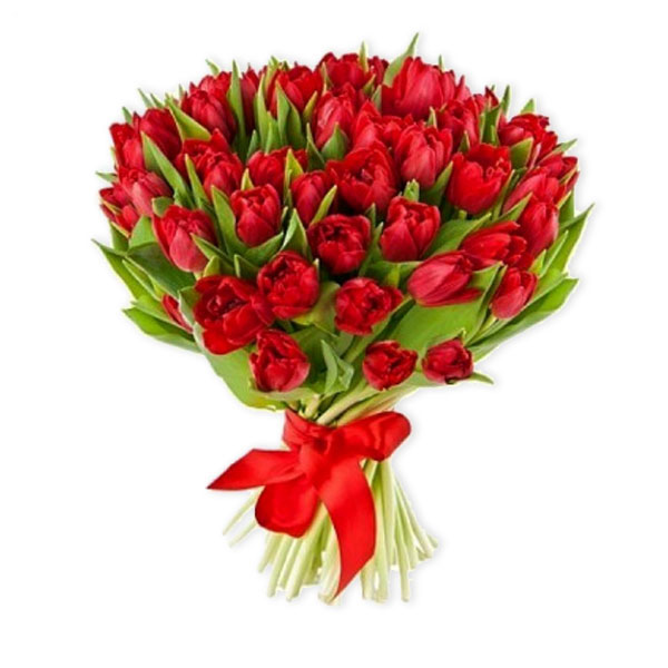 images/products/bouquet-of-51-red-terry-tulips.jpg