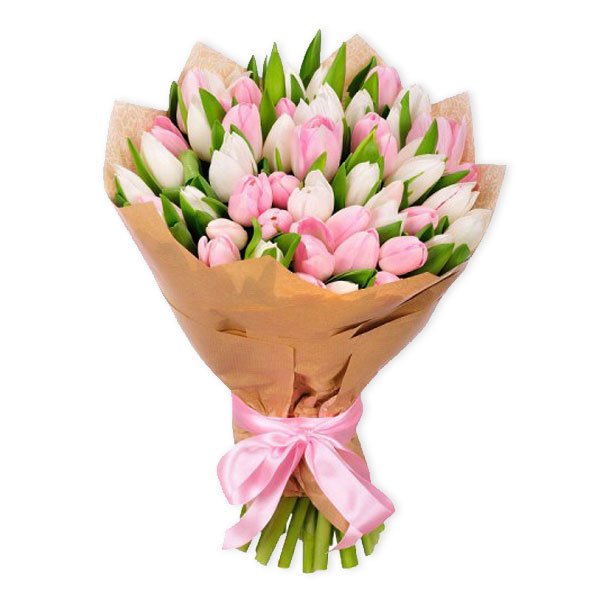 images/products/bouquet-of-51-white-and-pink-tulip-in-craft-paper.jpg
