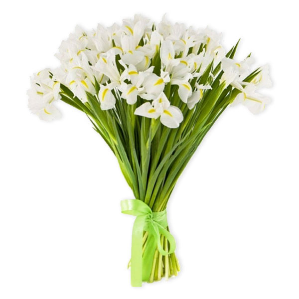 images/products/bouquet-of-51-white-iris.jpg