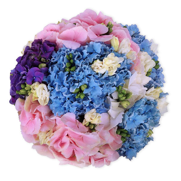 images/products/bouquet-of-7-hydrangeas-and-freesias.jpg