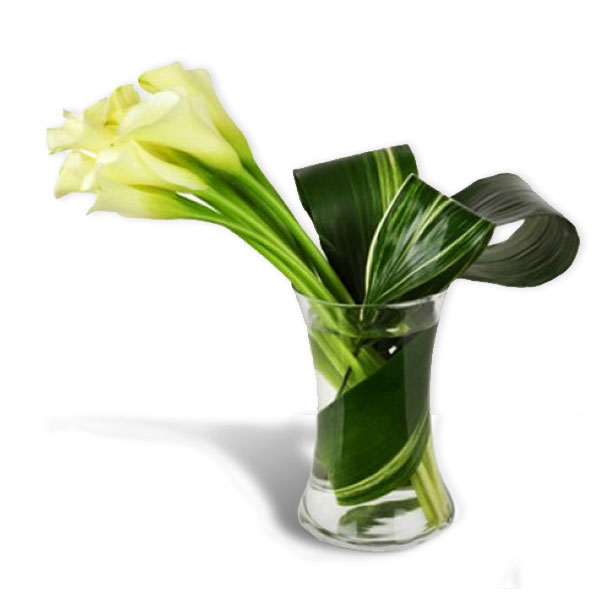 images/products/bouquet-of-7-white-calla-lilies.jpg