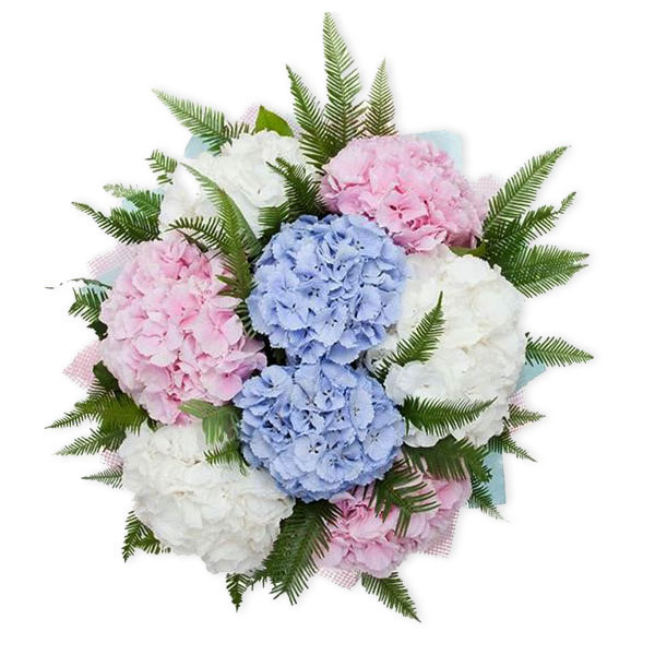 images/products/bouquet-of-9-delicate-hydrangeas.jpg