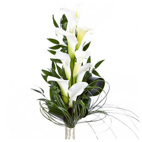 images/products/bouquet-of-9-dutch-white-callas.jpg