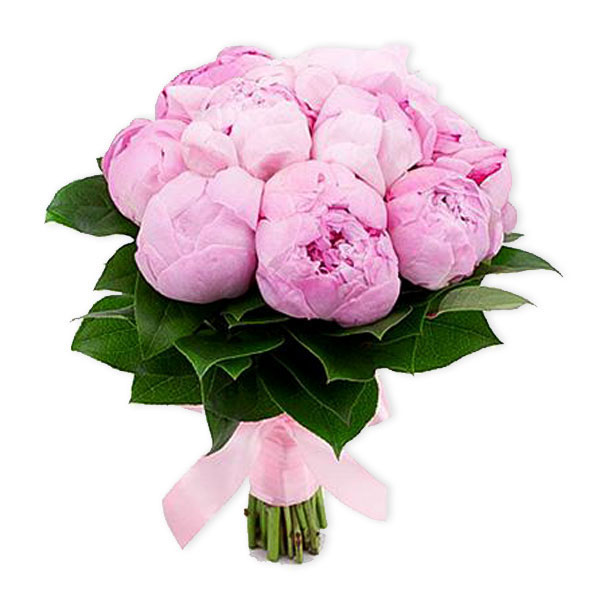 images/products/bouquet-of-9-pink-peonies.jpg