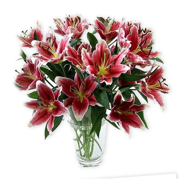 images/products/bouquet-of-bordeaux-lilies.jpg