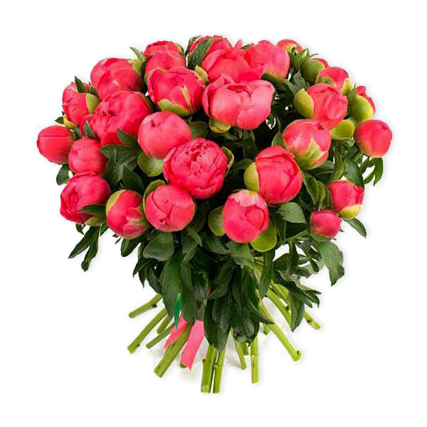images/products/bouquet-of-coral-peonies.jpg
