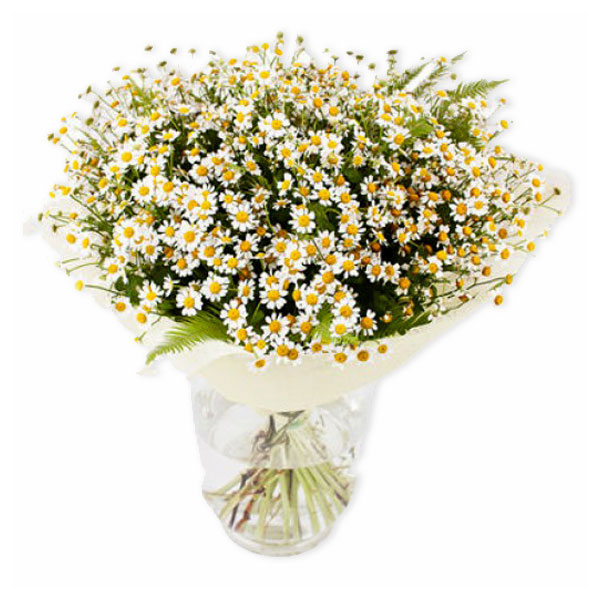 images/products/bouquet-of-daisies.jpg
